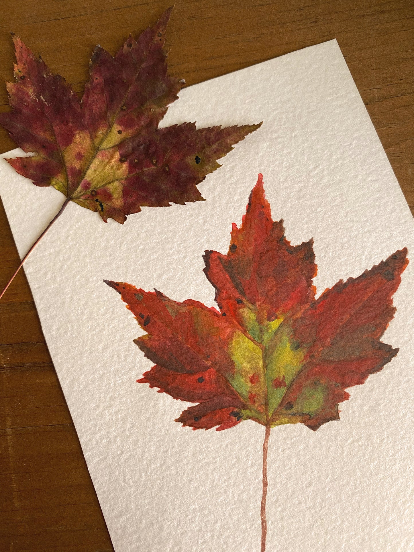 Maple Leaf, Original Watercolor